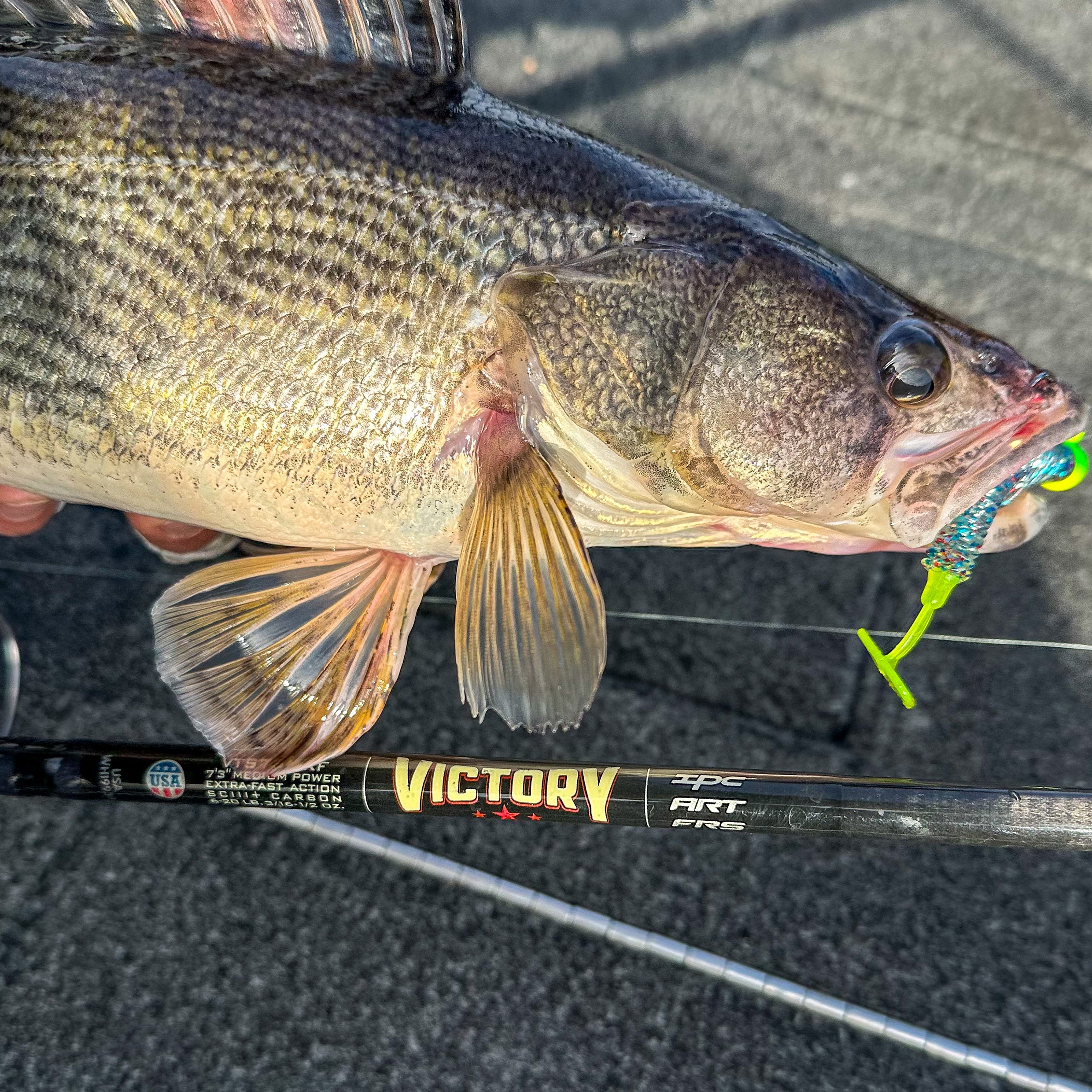 VICTORY SERIES