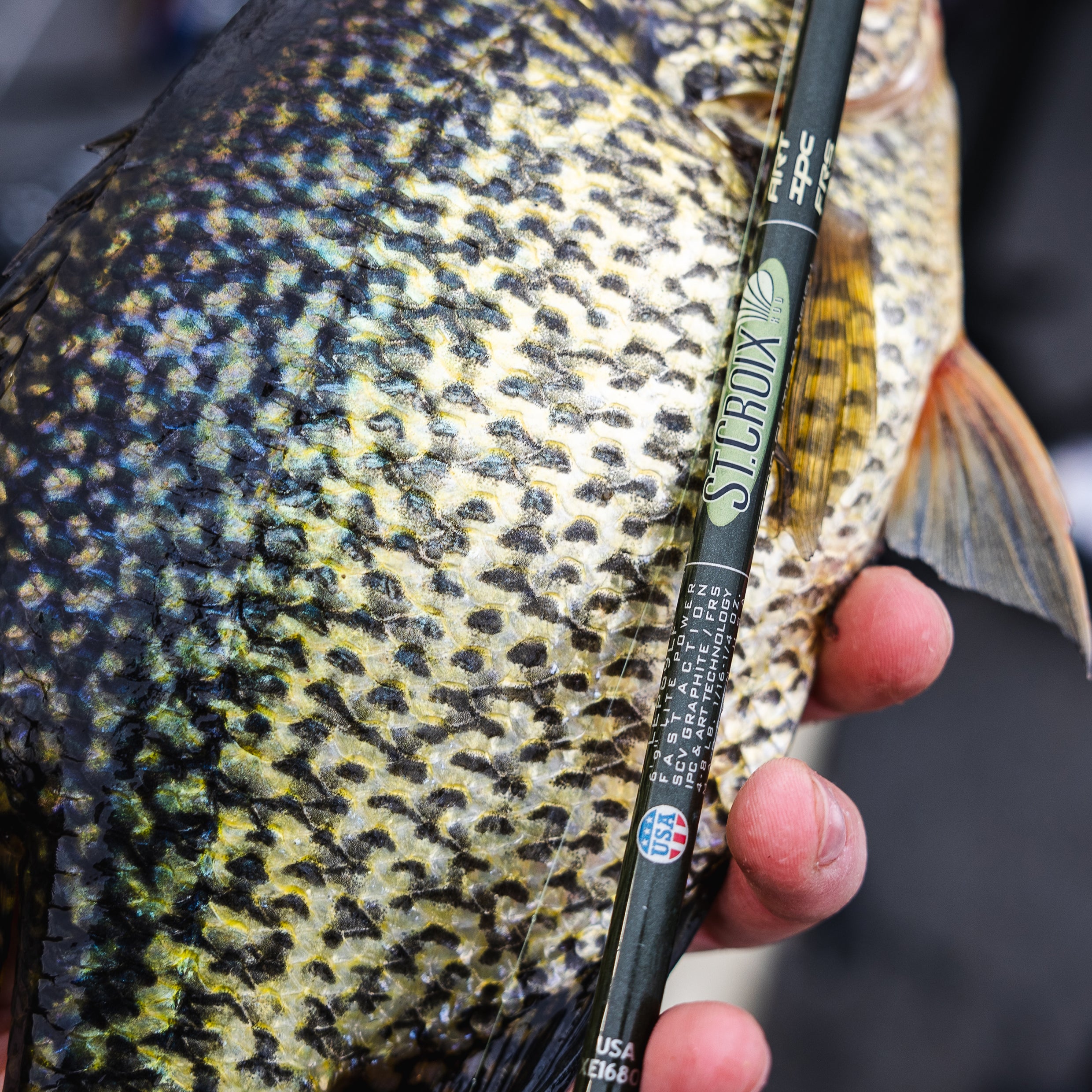 LEGEND ELITE PANFISH