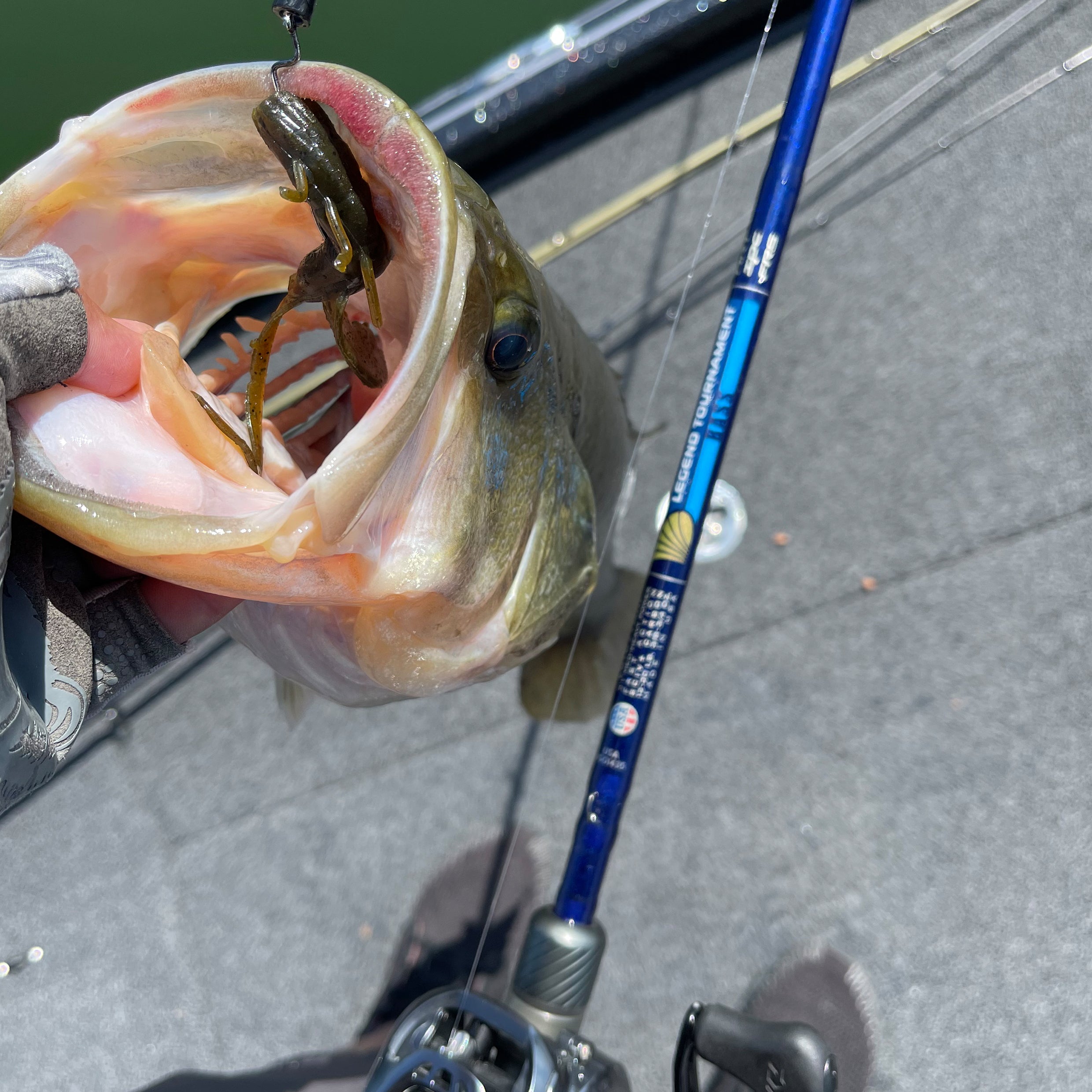LEGEND TOURNAMENT BASS