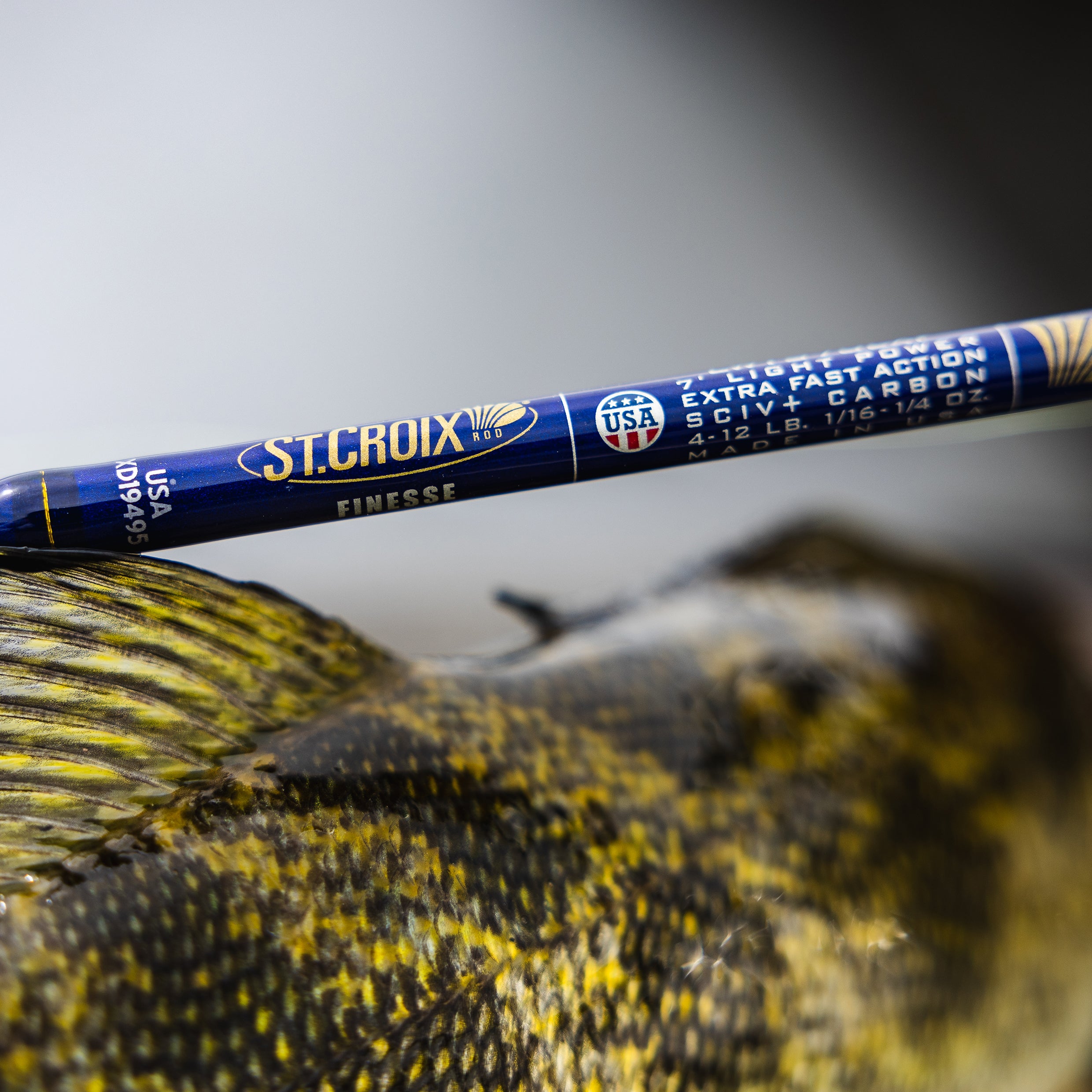 LEGEND TOURNAMENT WALLEYE
