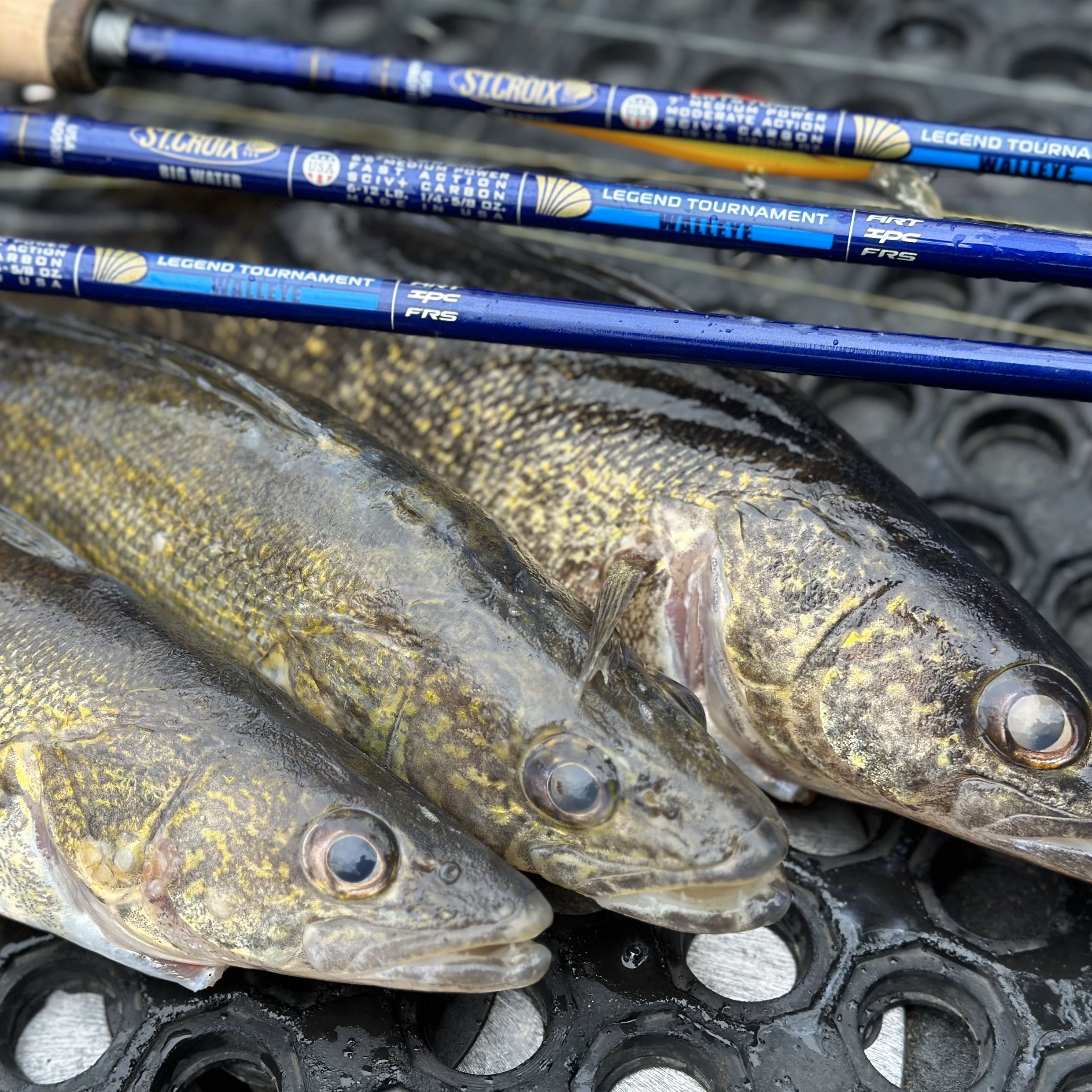 LEGEND TOURNAMENT WALLEYE