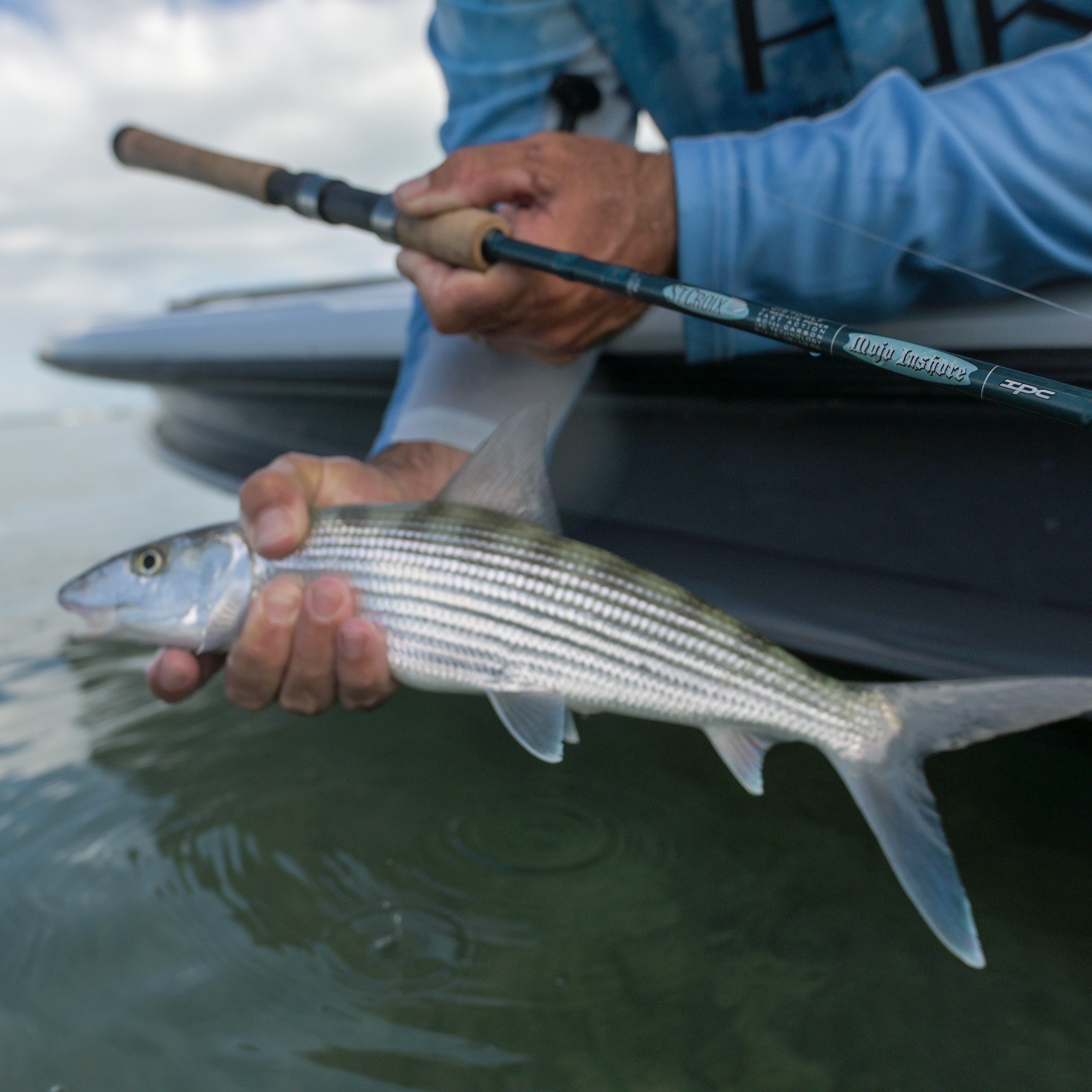 MOJO INSHORE