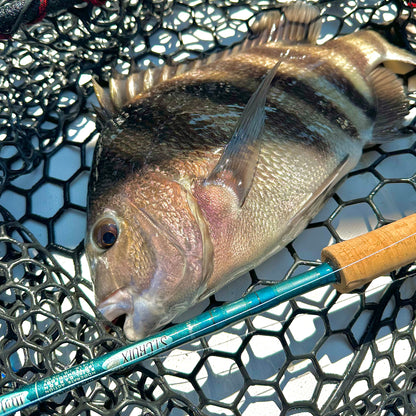 MOJO INSHORE