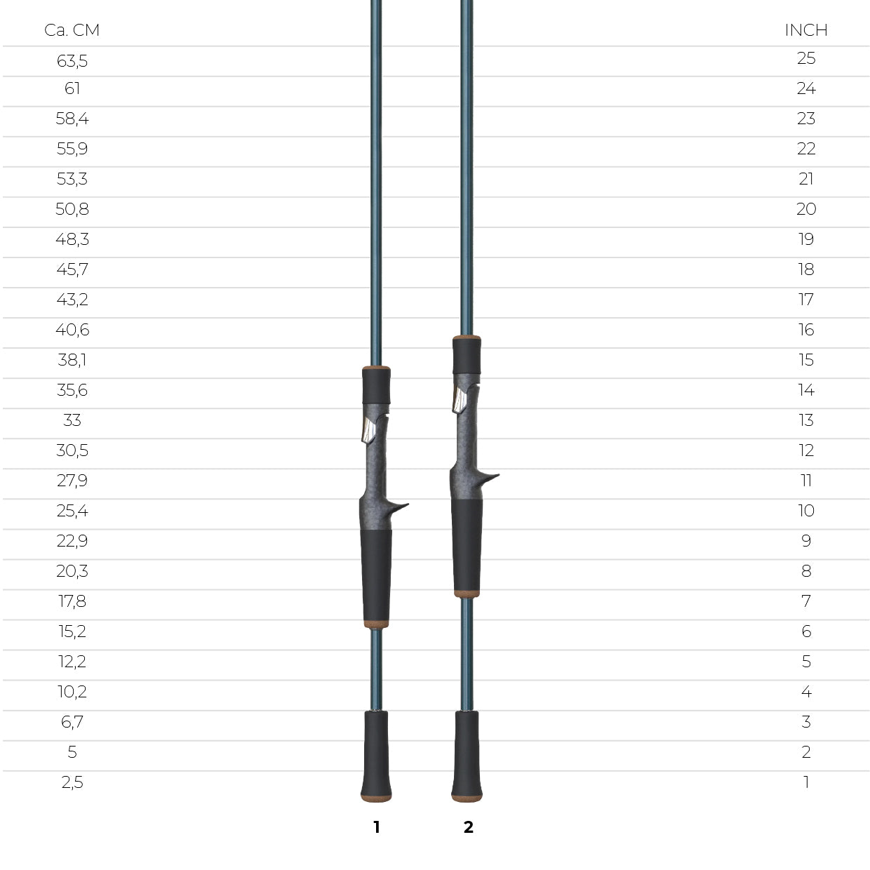 RAYFIN SERIES