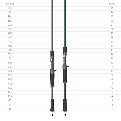 RAYFIN SERIES