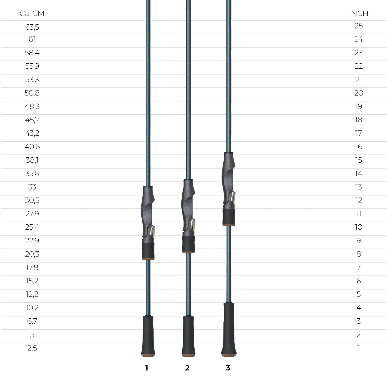 RAYFIN SERIES