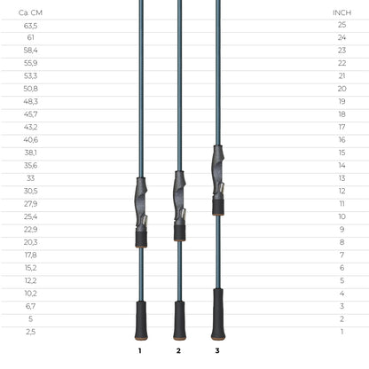 RAYFIN SERIES