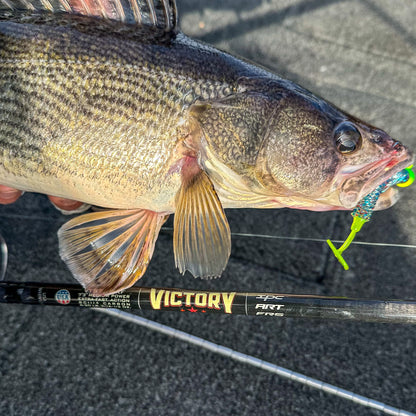 VICTORY SERIES